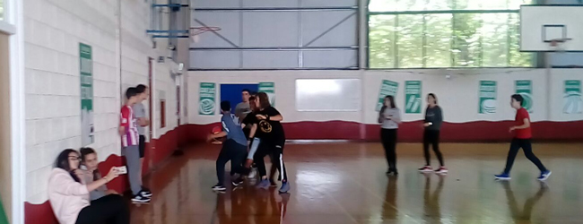 LISA-Sprachreisen-Schueler-Englisch-Irland-Carlow-Schule-College-Sport-Halle LISA-Sprachreisen-Schueler-Englisch-Irland-Carlow-Schule-College-Sport-Halle