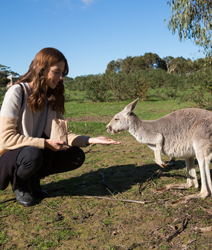 Adelaide